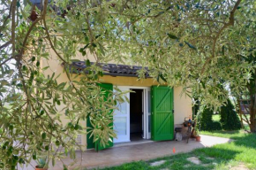 B&B Ca' Viola San Pietro In Trento